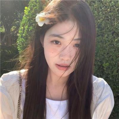 加菲猫家族
